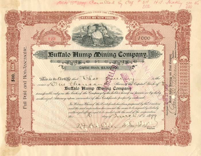 Buffalo Hump Mining Co.